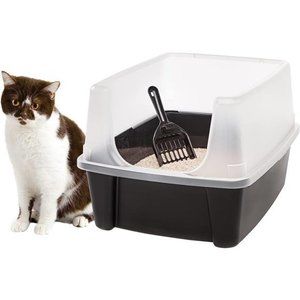 Open Top Cat Litter Tray with Scoop and Scatter Shield,Sturdy Easy to Clean Open